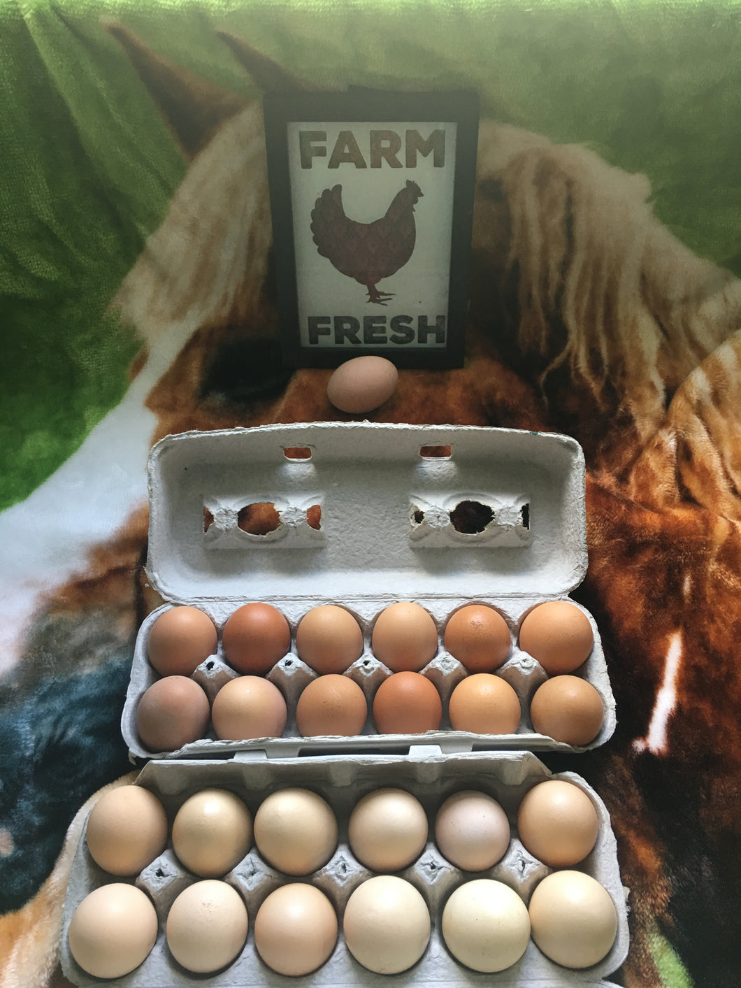 Farm Fresh Eggs