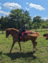 Load image into Gallery viewer, Children’s Horse Experience
